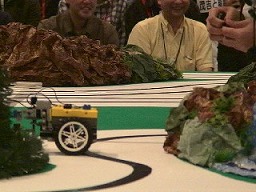 野原に突き刺さりました